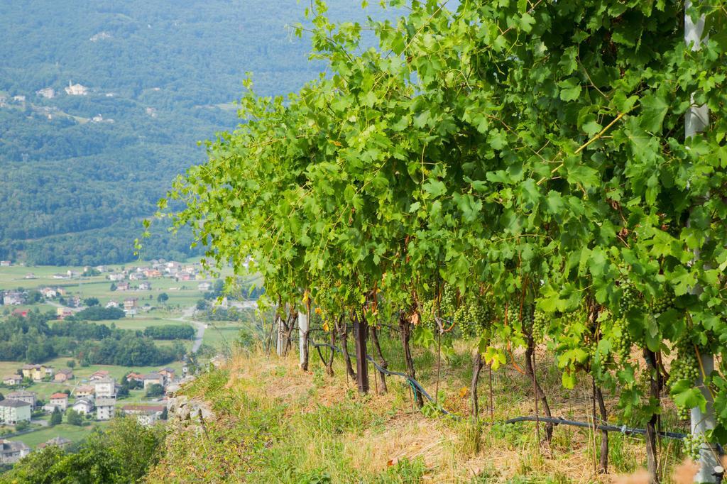 B&B Ca' La Vedescia Тельо Экстерьер фото