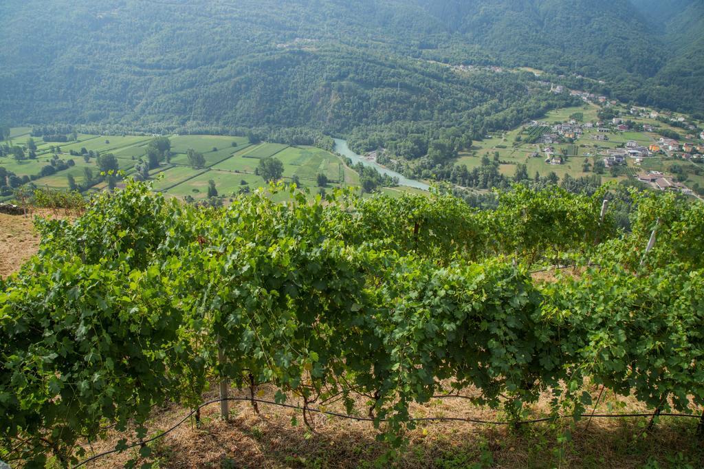 B&B Ca' La Vedescia Тельо Экстерьер фото