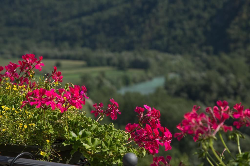 B&B Ca' La Vedescia Тельо Экстерьер фото